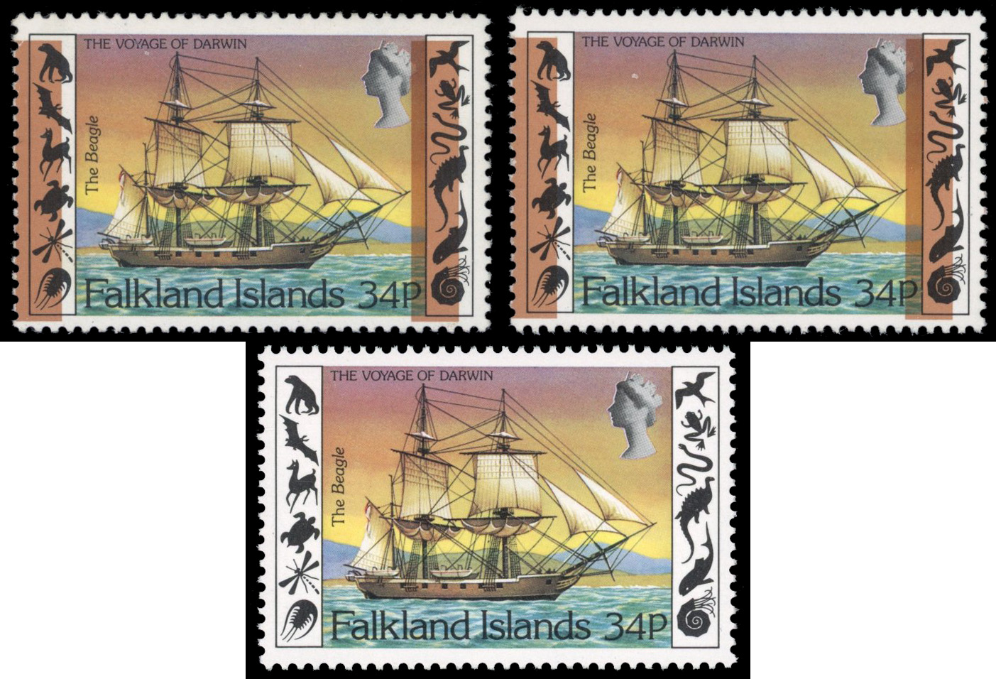 Falkland Islands SG 425a 1982 34p Beagle with pale brown omitted mint