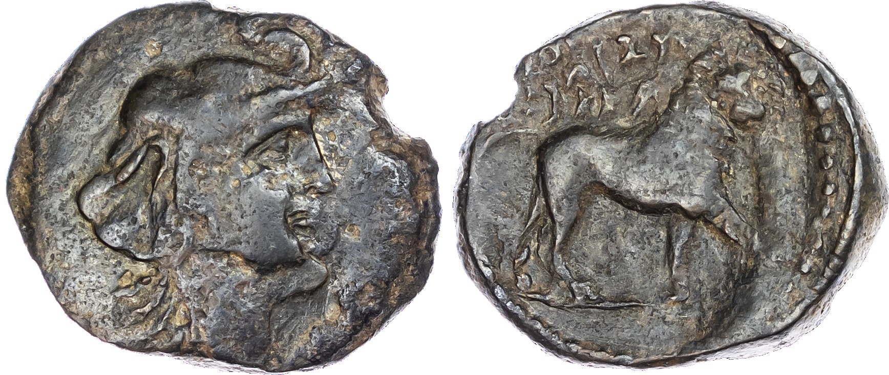 Kings of Numidia, Juba I (c. 60-46 BC) AE