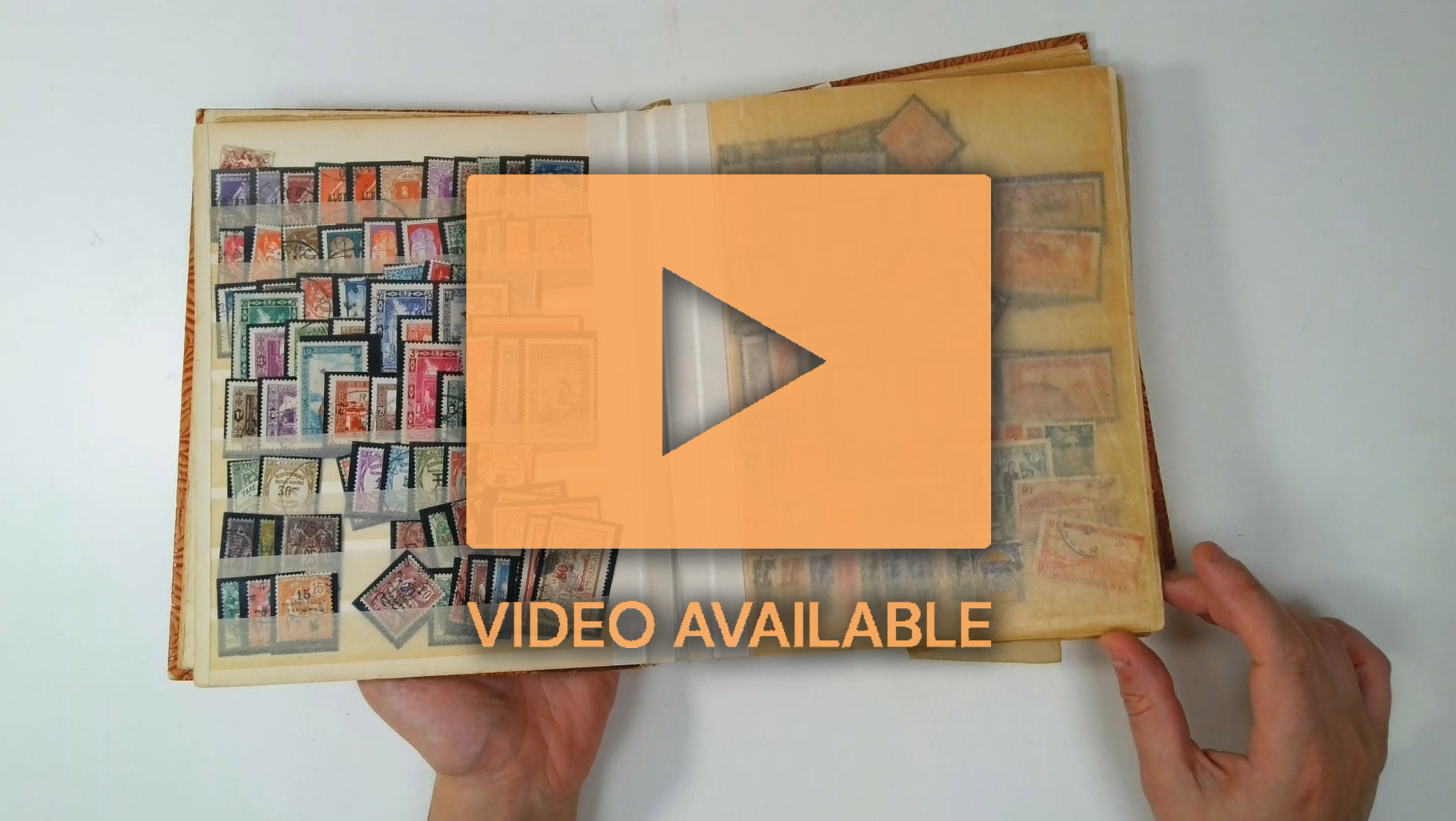 France and Colonies duplicated accumulation in stockbooks in carton