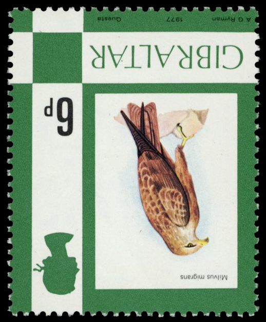 1977 6p Black Kite bird, watermark...