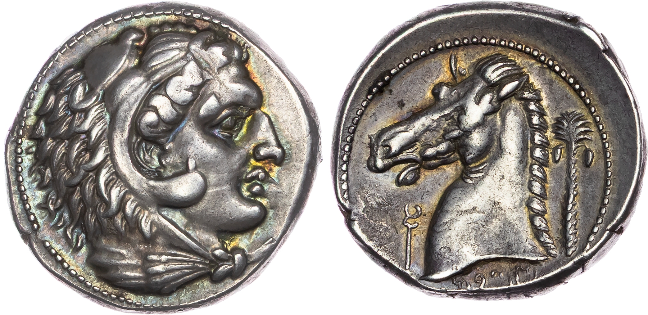 Sicily, Siculo‑Punic (c. 300‑289 BC) AR Tetradrachm, Entella, 16.76g.