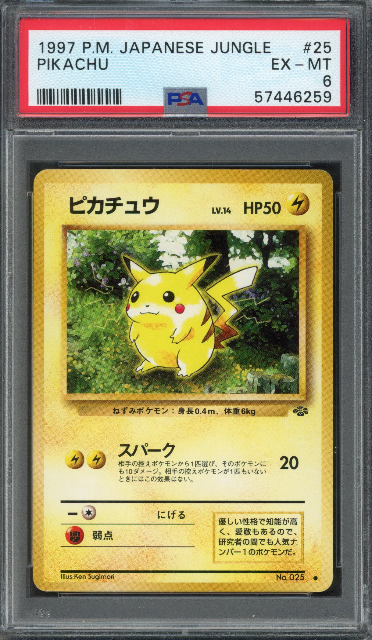 Pokémon TCG - PSA Pikachu Bundle