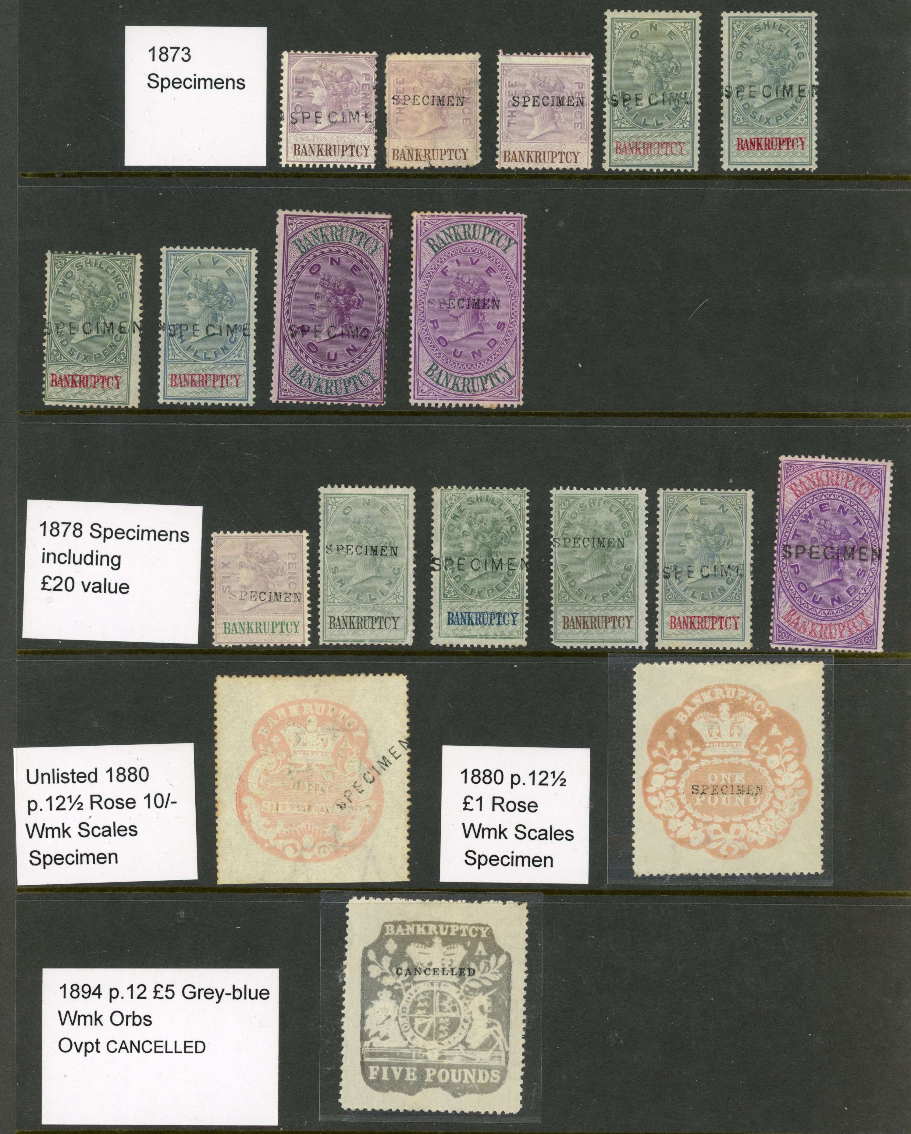 GB Bankruptcy QV Specimen collection