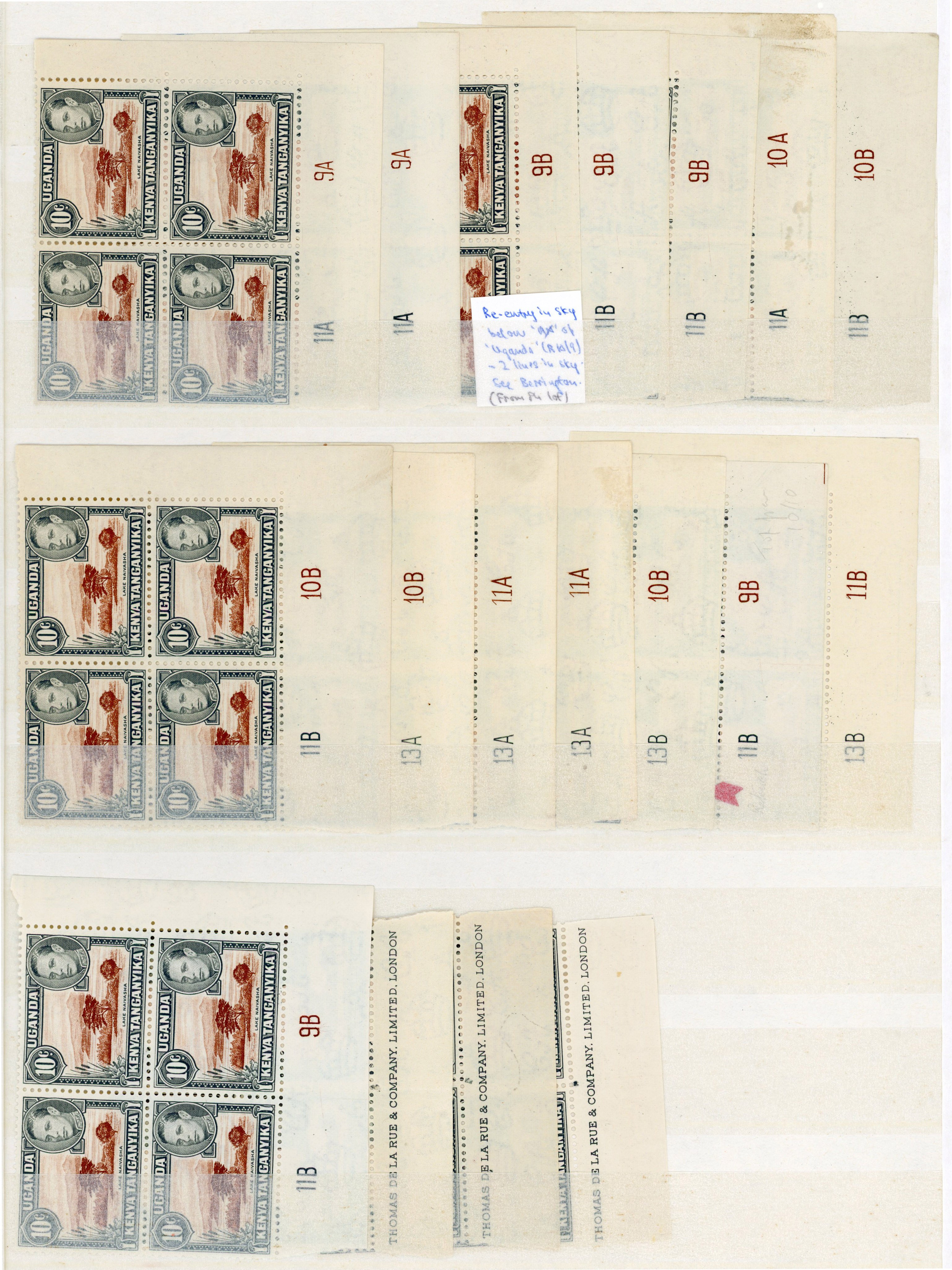 KUT SG 136 multiples mint