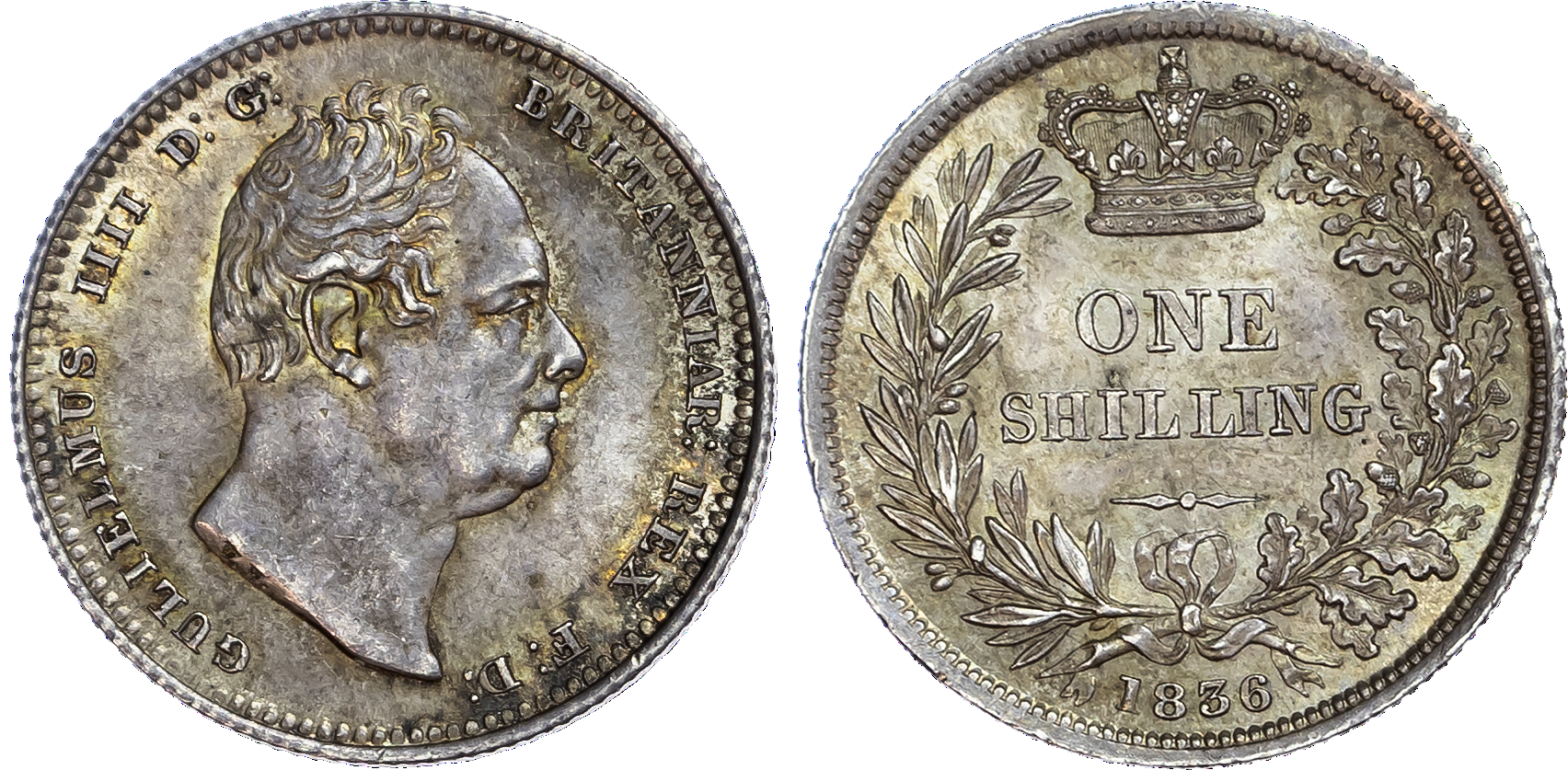 William IV (1830-37), Shilling, 1836.
