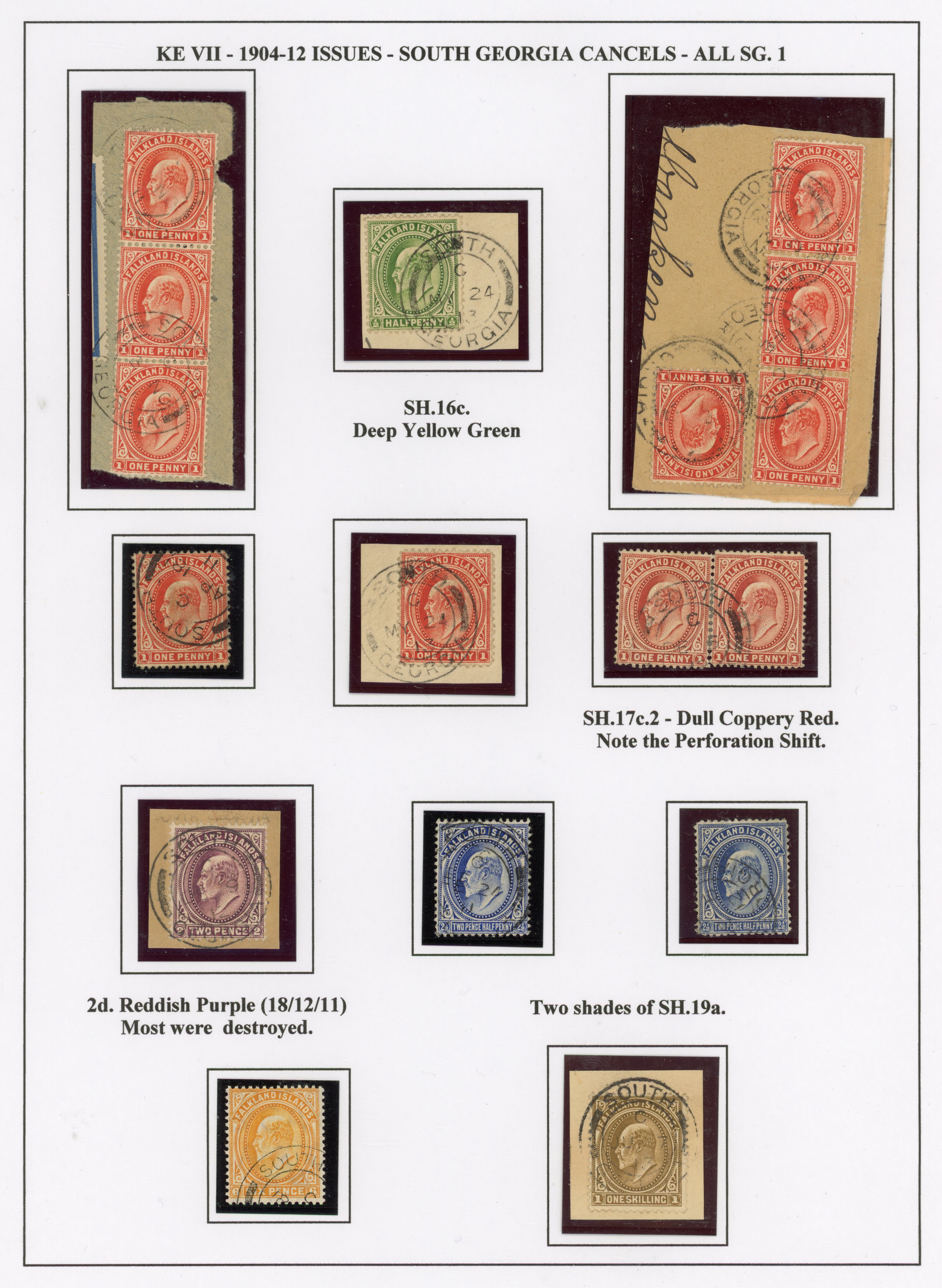 FID SG Z14/19 collection