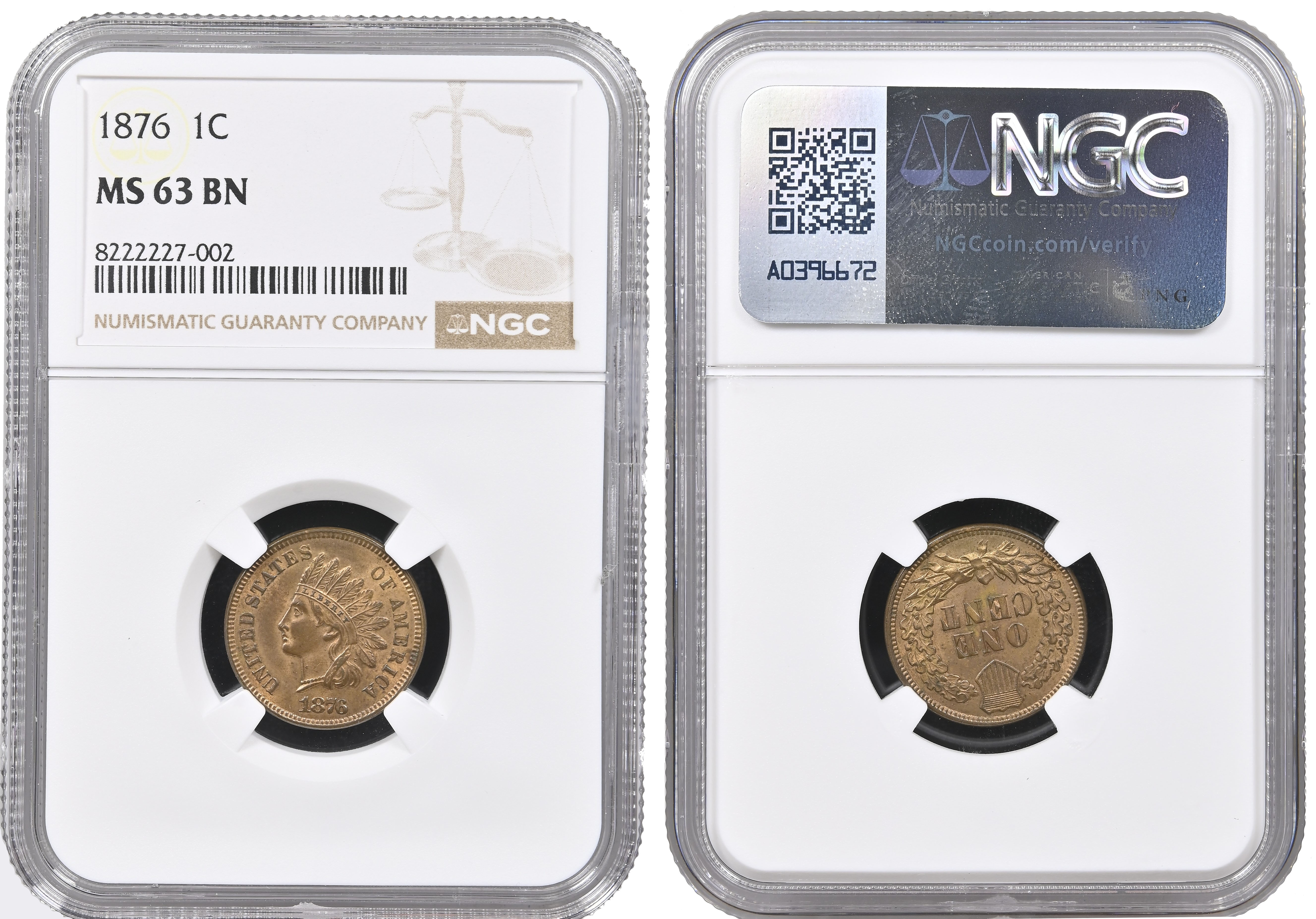 USA, Indian Head bronze Cent, 1876