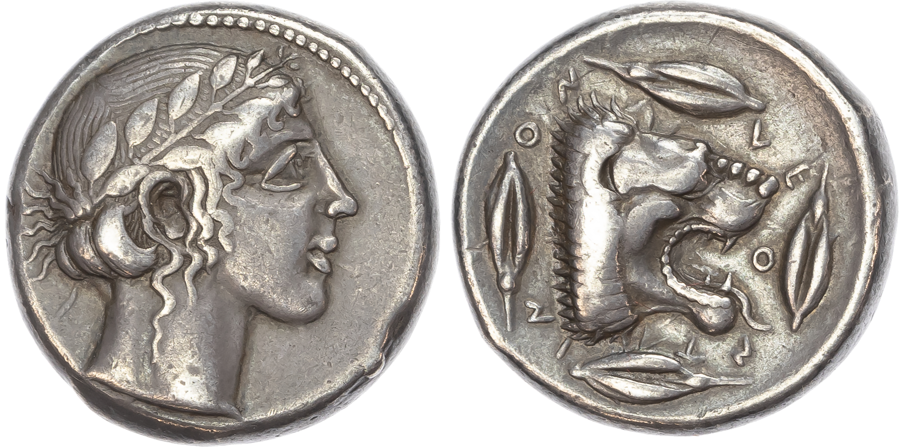Sicily, Leontini (c. 450-440 BC), AR Tetradrachm, 17.30g. 