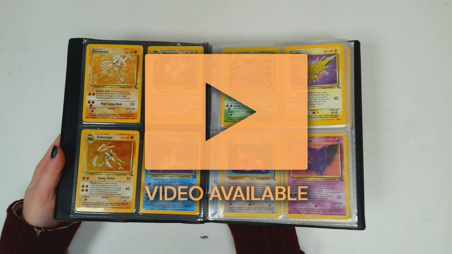 Fossil Partially Complete Set - 55/62