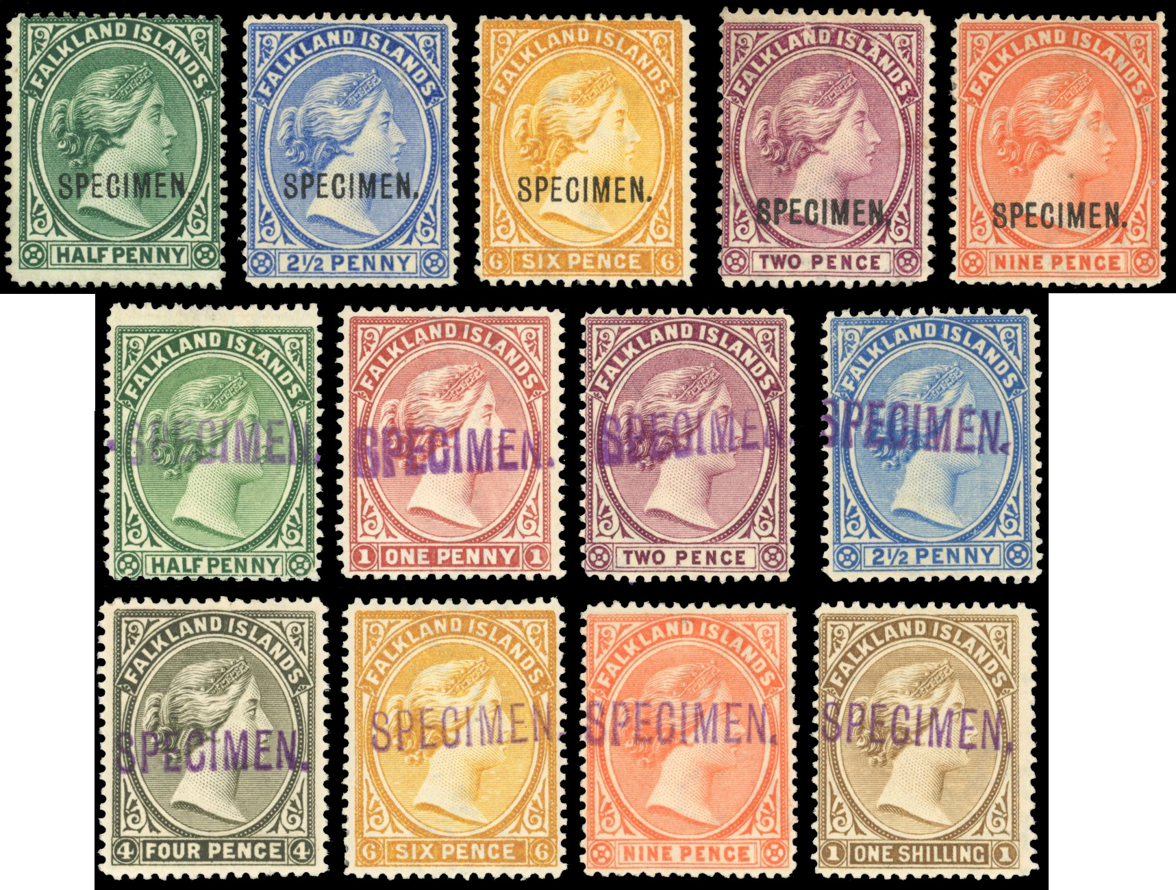 Falkland Islands 1891-1902 Specimen group