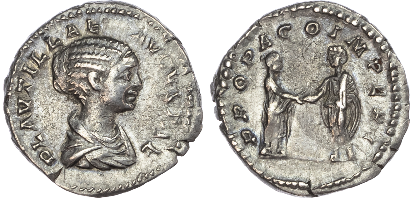 Plautilla (Wife of Caracalla) AR Denarius, Rome, AD 202-205, 3.34g. 
