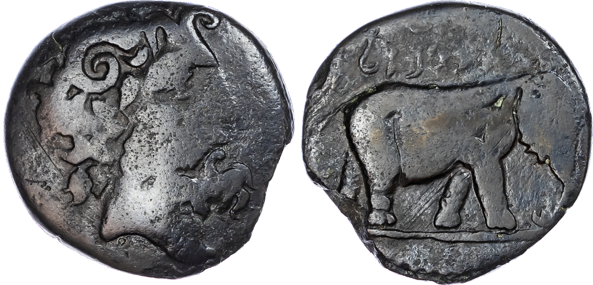 Kings of Numidia, Juba I (c. 60-46 BC) AE