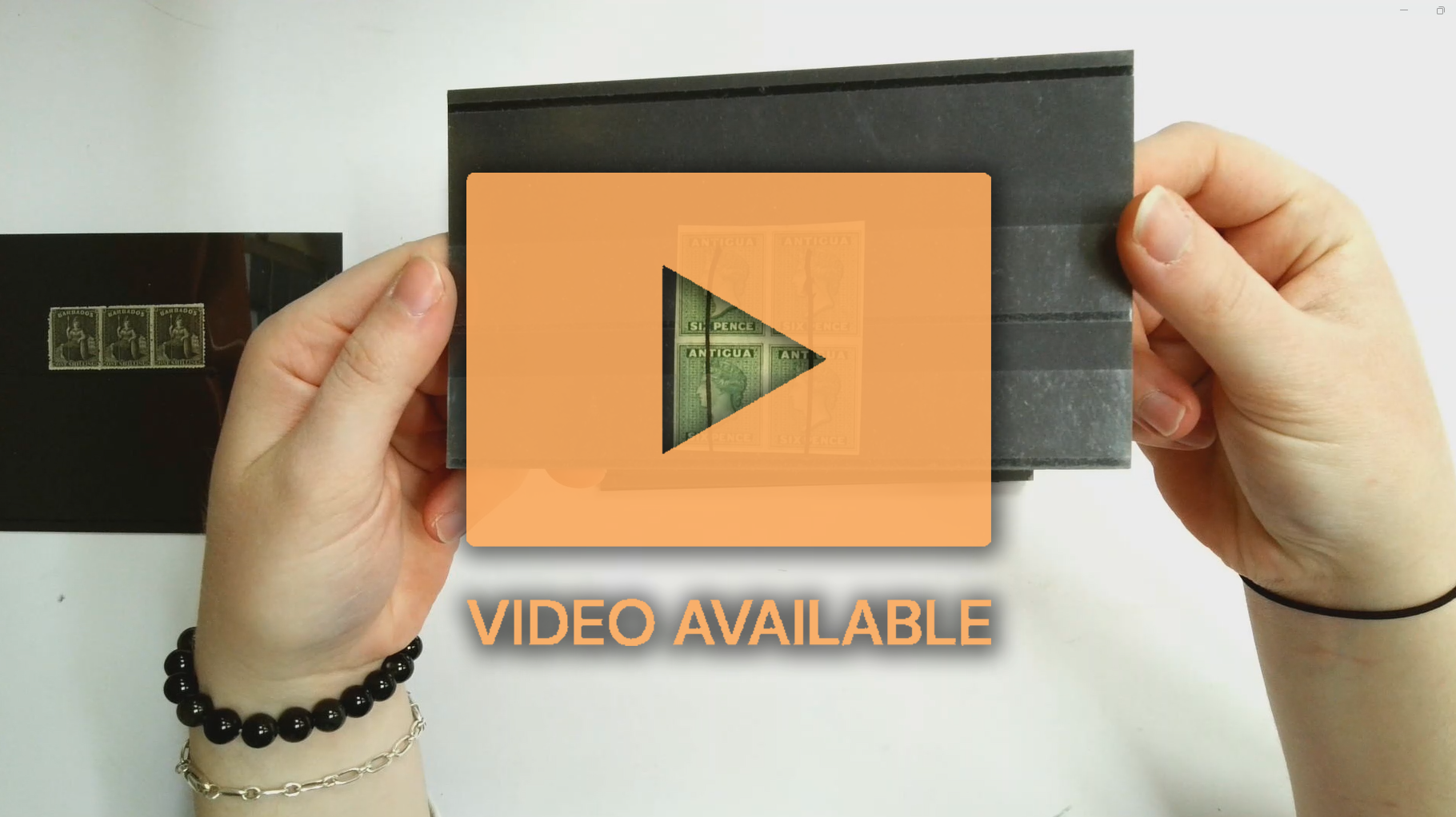 British Africa  and West Indies accumulation