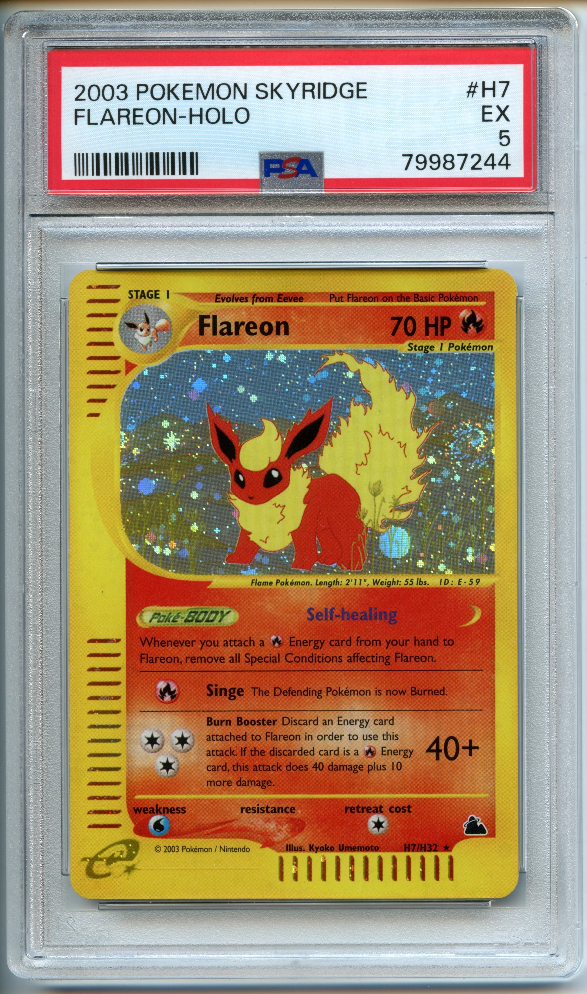 Pokemon TCG  - Flareon  HOLO - Skyridge  - PSA 5