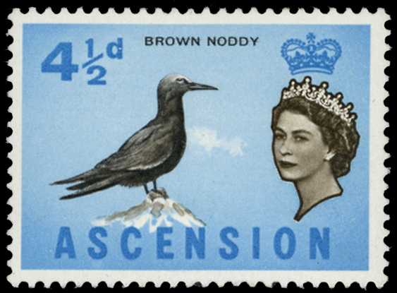 1963 4½d Brown Noddy bird, watermark...