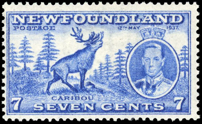 Newfoundland SG 259d Perf 13 7c bright ultramarine mint