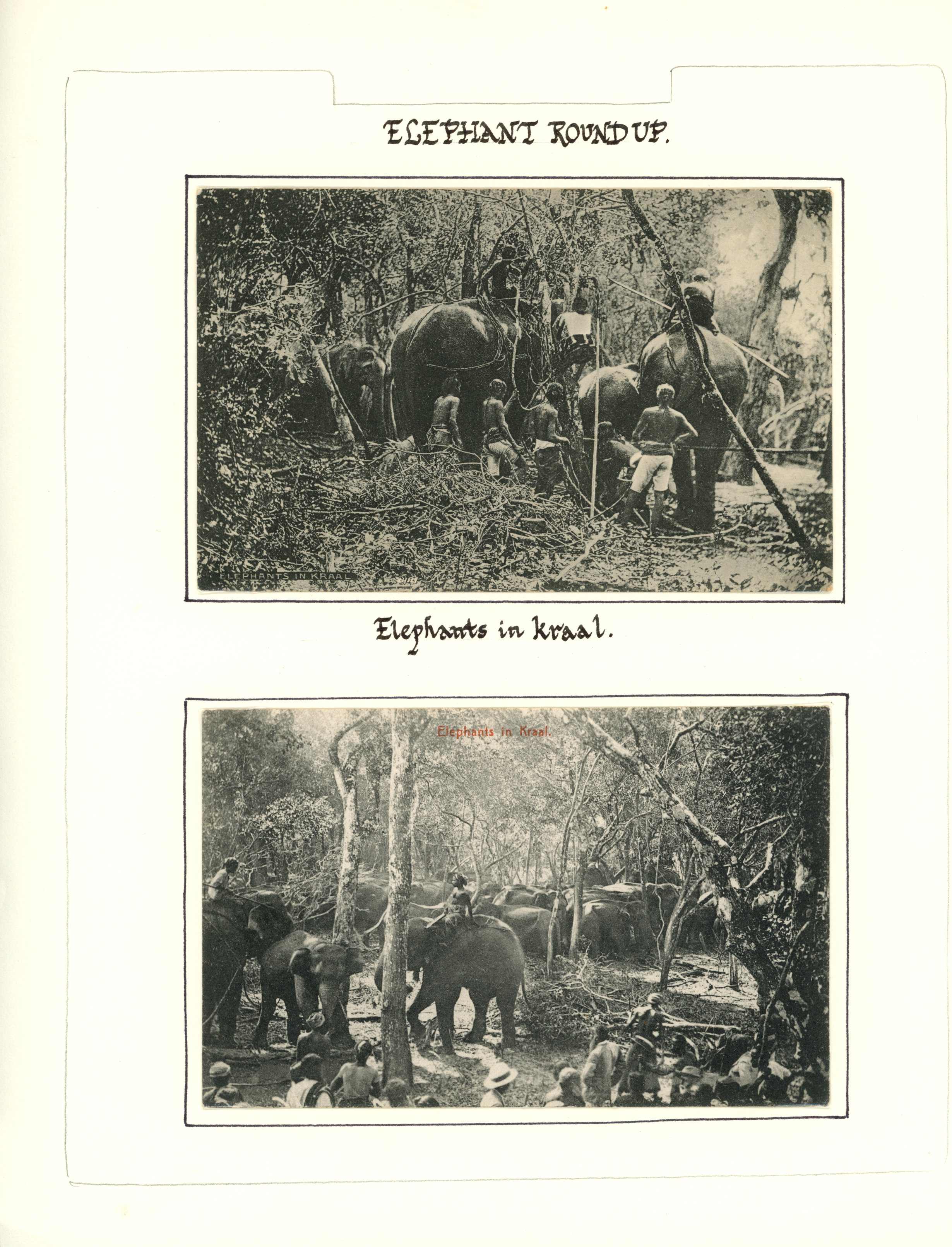 POSTAL HISTORY: Four albums and loose...