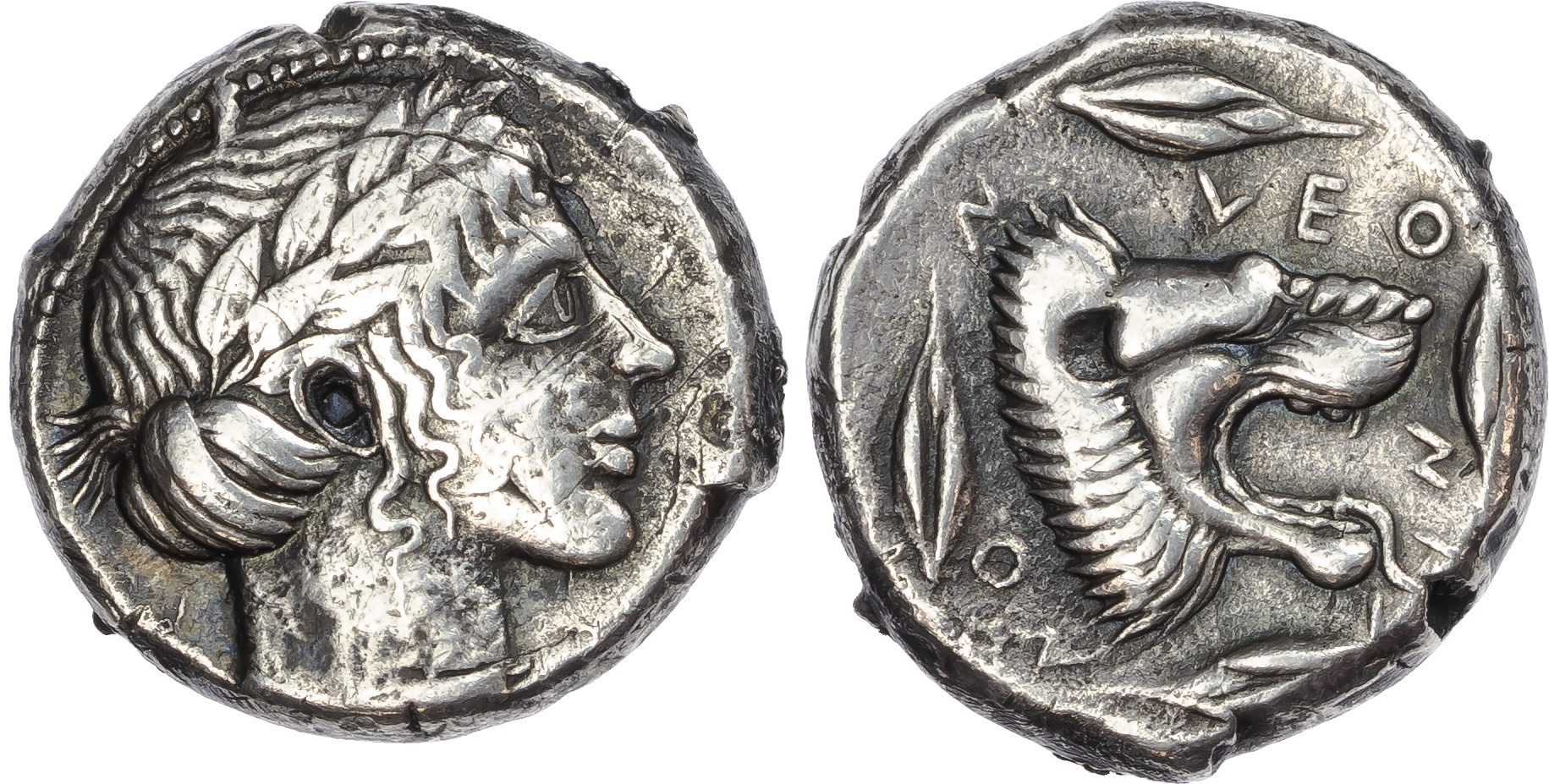 Sicily, Leontini (c. 466-405 BC) AR Tetradrachm, 17.36g. 