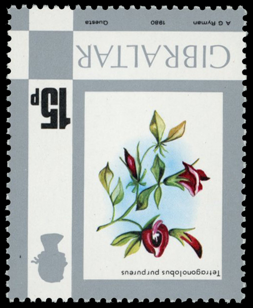 1977 15p Winged Asparagus Pea,...