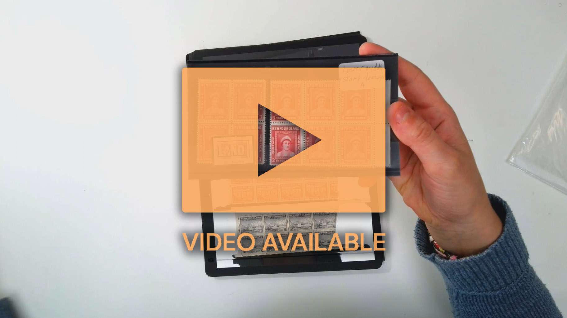 Newfoundland KG V/VI blocks mint