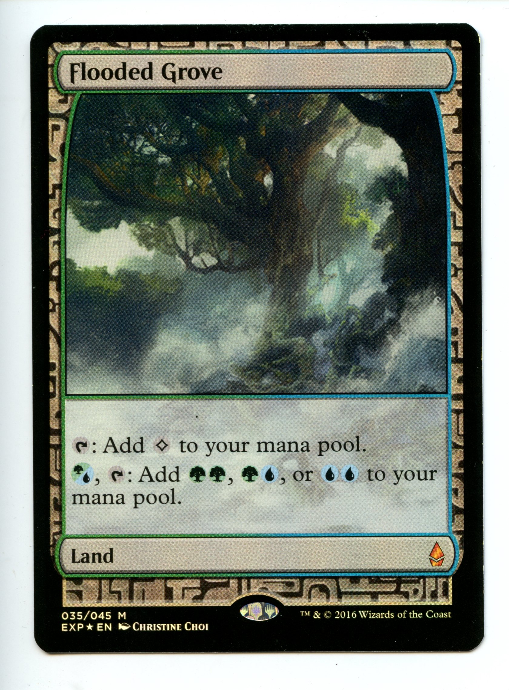 Magic the Gathering - Flooed Grove   - Zendikar Expeditions  - Moderatly Played 
