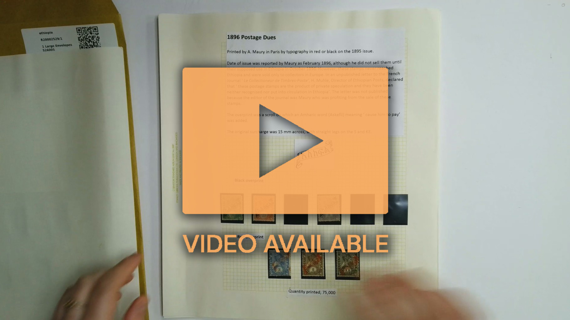 Ethiopia 1895-1908 unused and used collection on pages