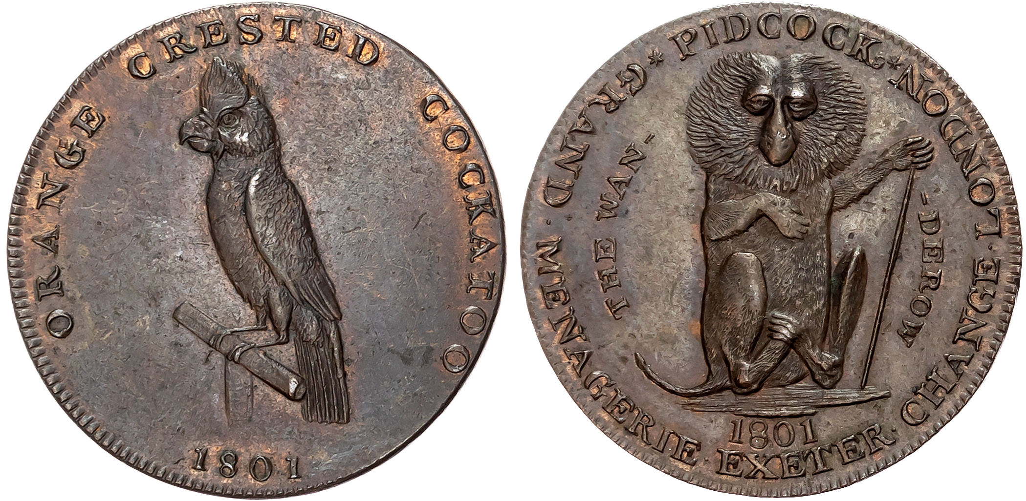 London , Strand, Gilbert Pidcock (Menagerie/zookeeper) Halfpenny 1801, A Wanderow (Lion-tailed macaque) sitting upright, …