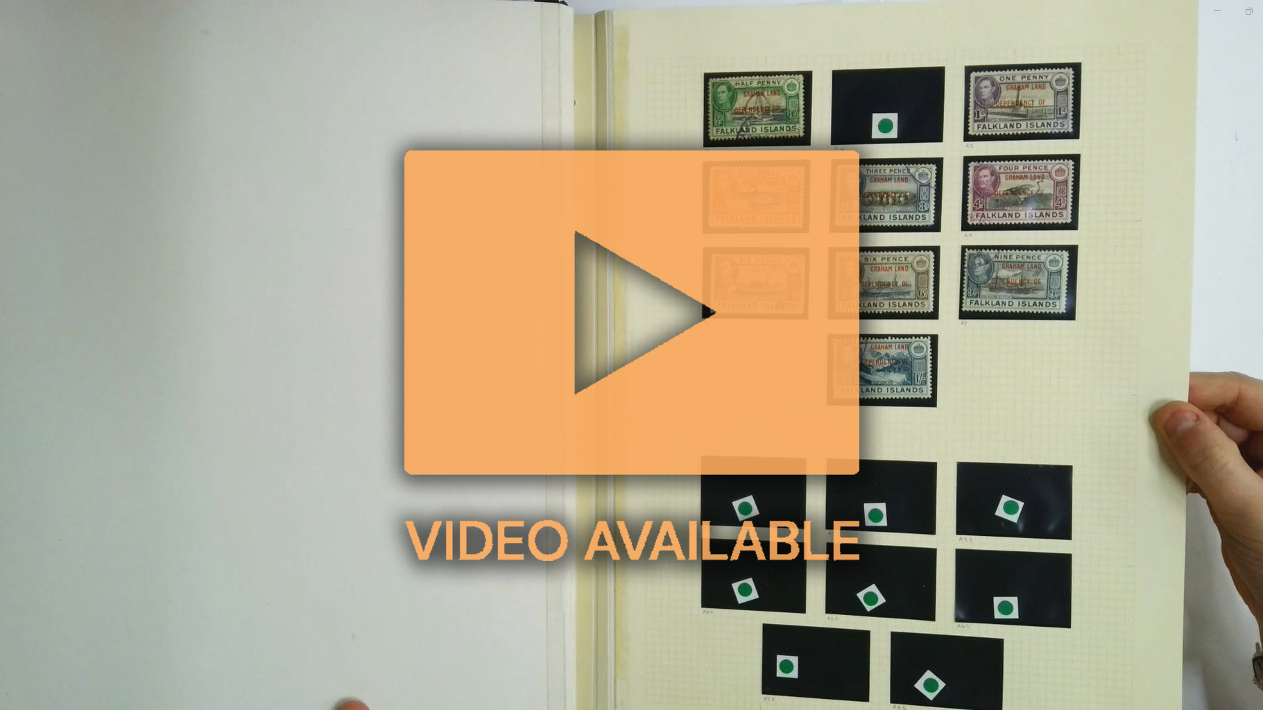 FID KGVI-QEII mint and used collection with varieties