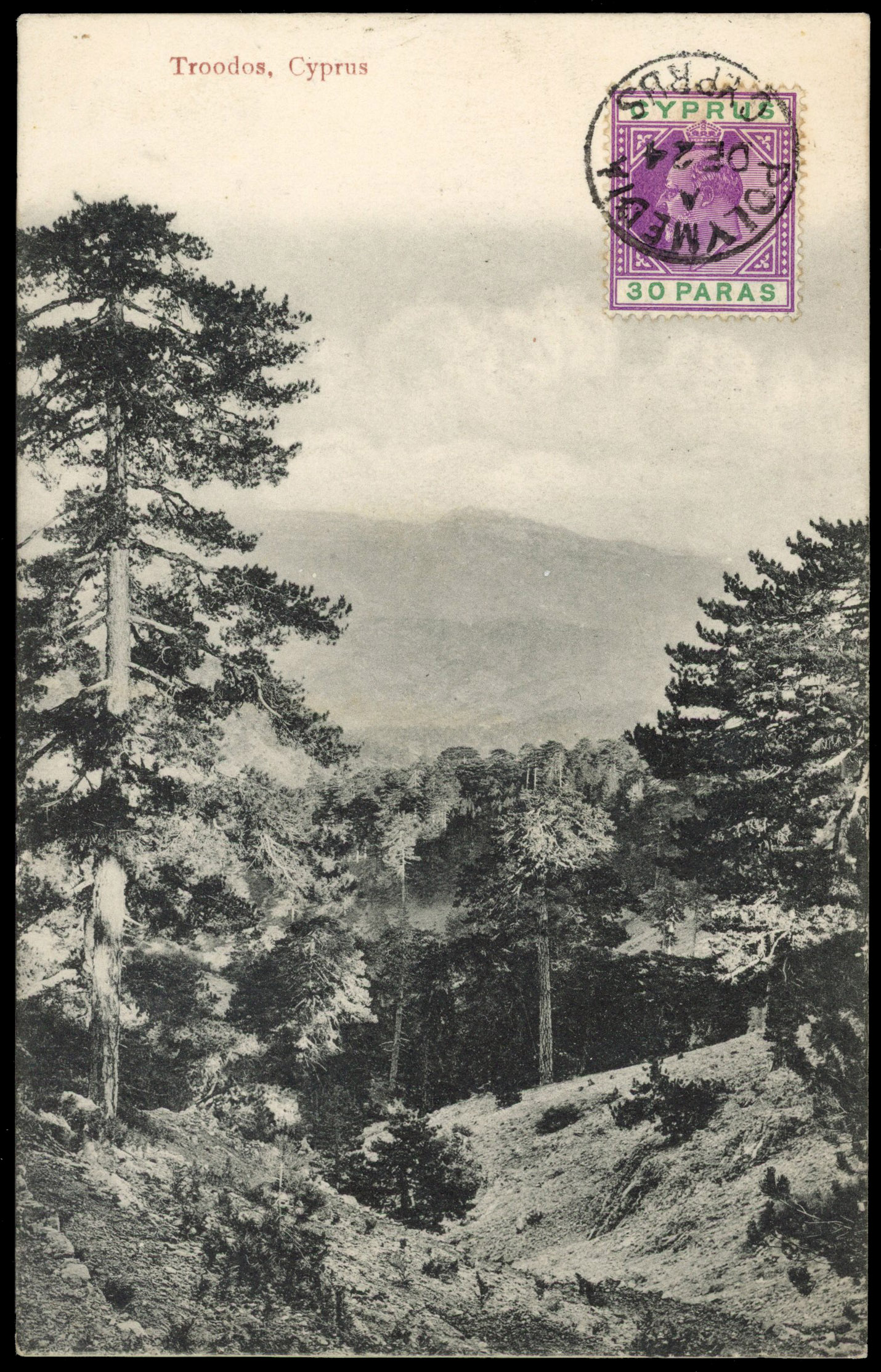 c1907 ppc to England franked KEVII 30pa tied ‘POLYMEDIA/DE 24’ cds on picture of Troodos mountains