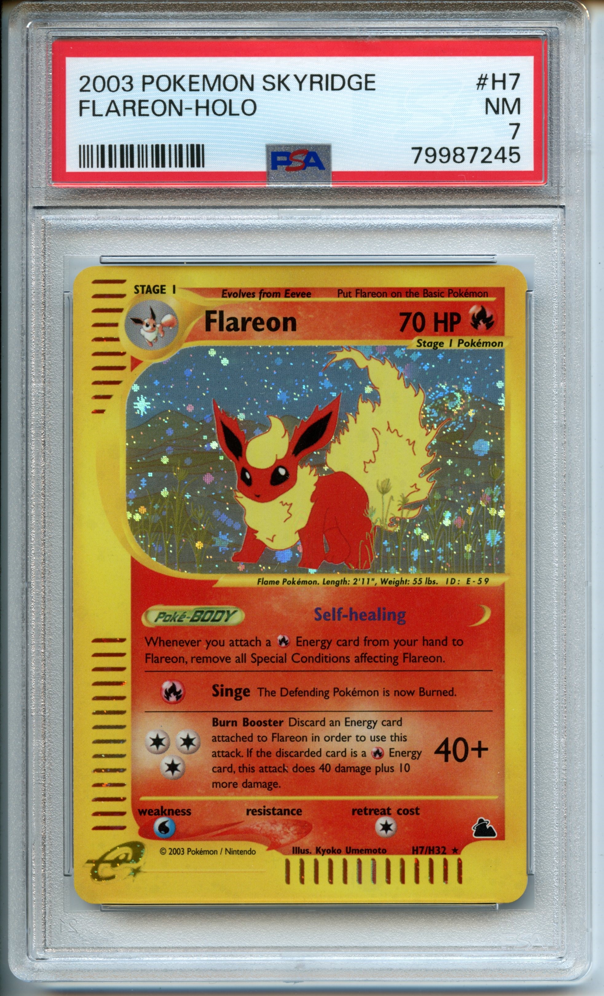 Pokemon TCG  - Flareon  HOLO  - Skyridge  - PSA 7 