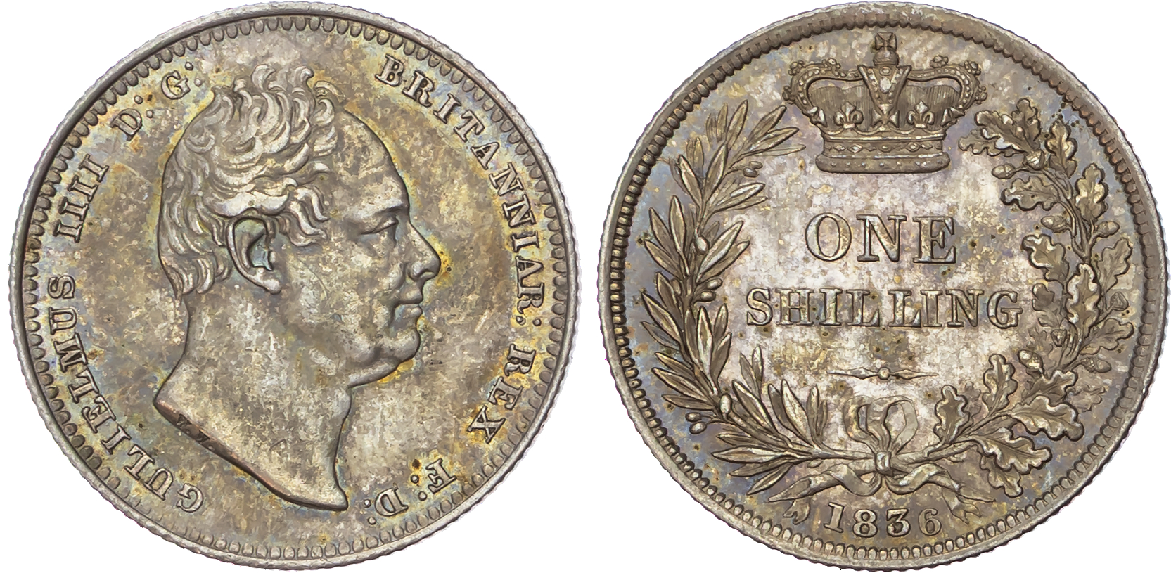 William IV (1830-1837), AR Shilling, 1836.