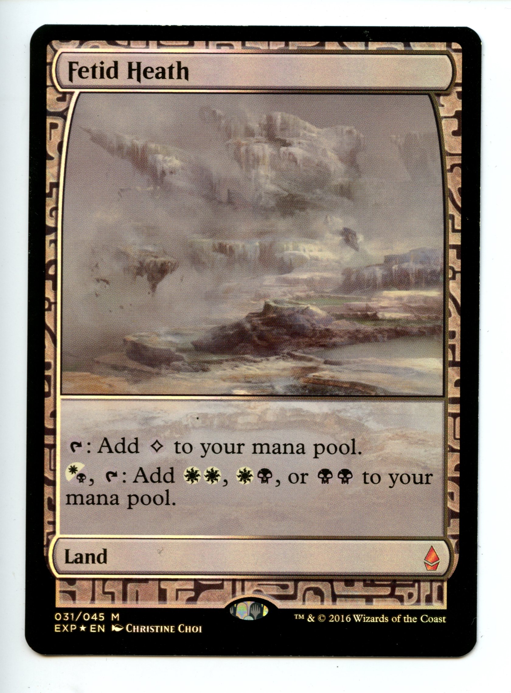Magic the Gathering - Fetid Heath  - Zendikar Expeditions  - Lightly Played 