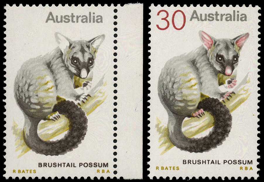 1974 30ct Brushtail Possum showing...