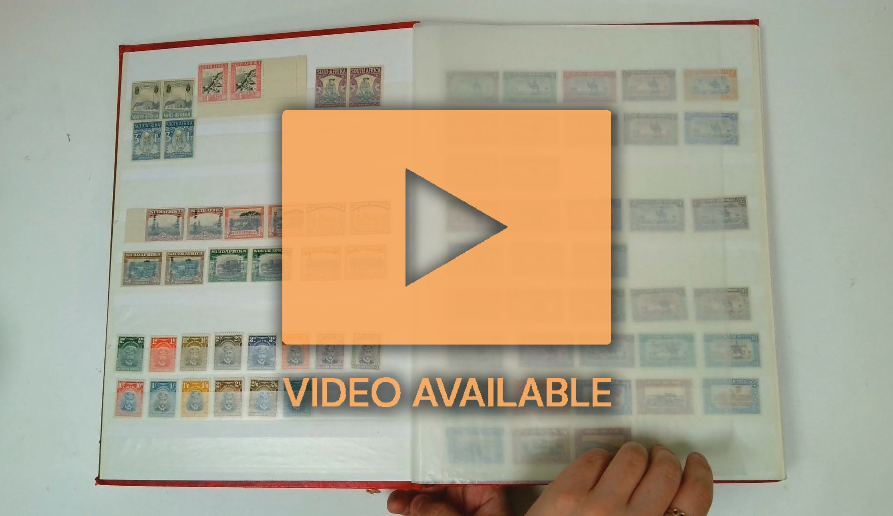 British Commonwealth mint range in stockbook