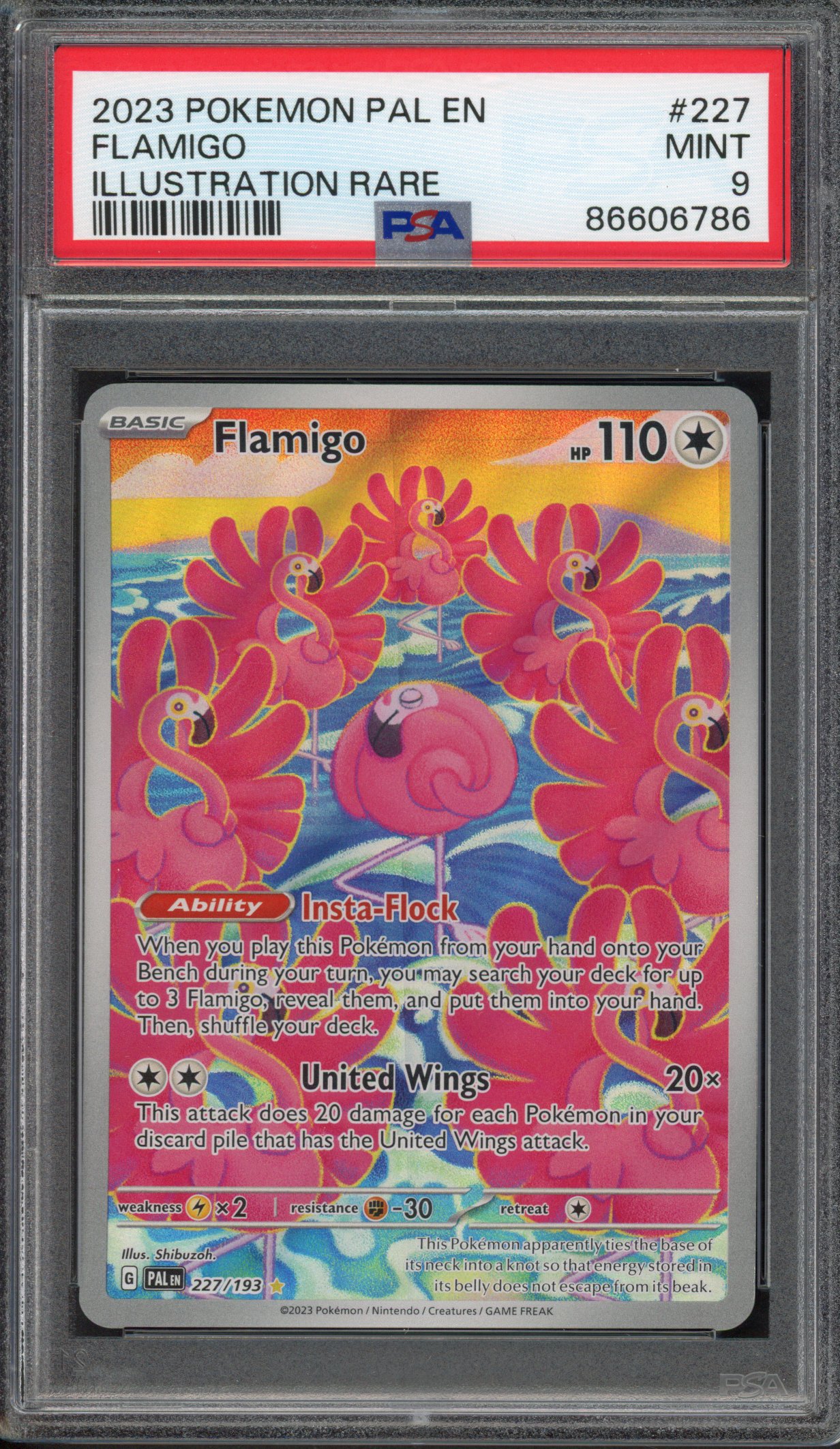 Pokémon TCG - PSA 9 Flamingo - Rare Illustration 2023