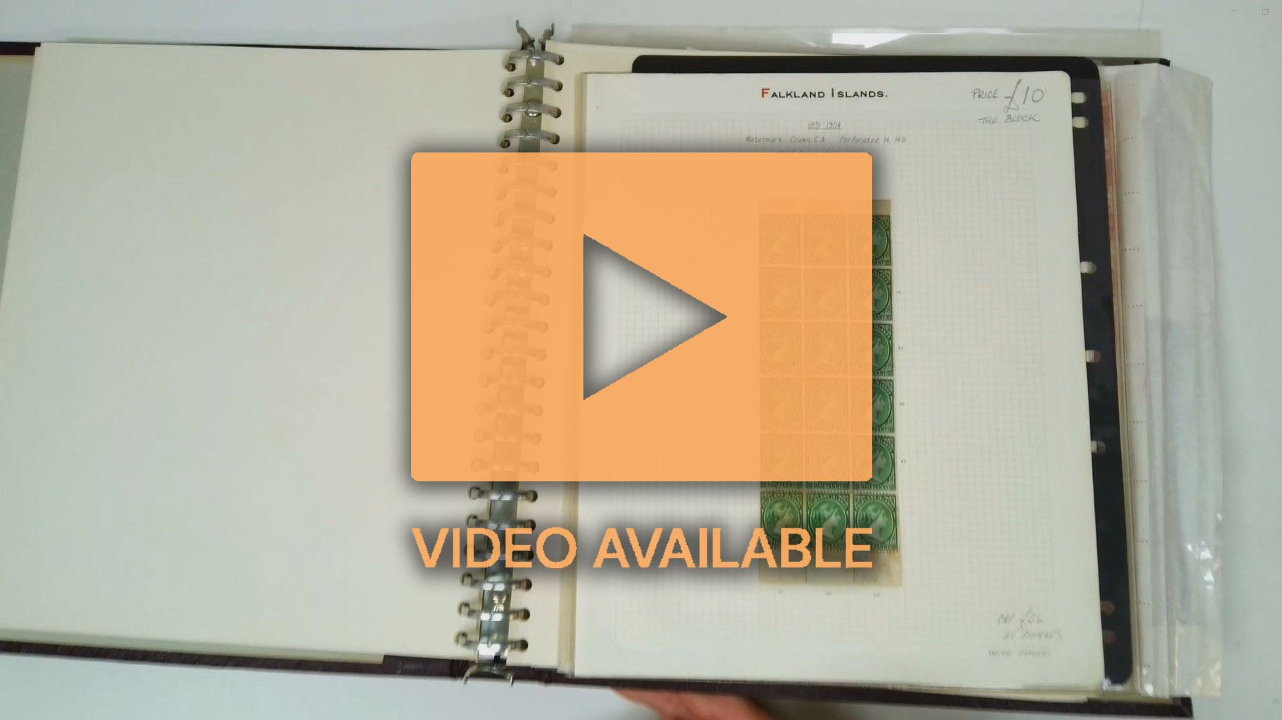 Falkland Islands QV-QEII mint and used collection