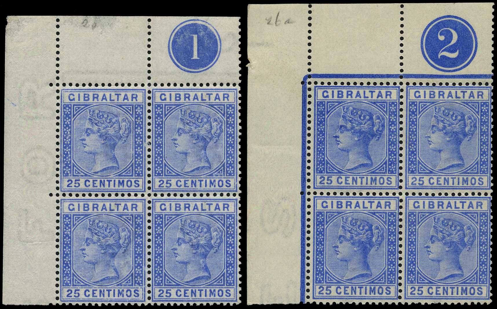 1889-96 25ct both shades, in unmounted o.g....
