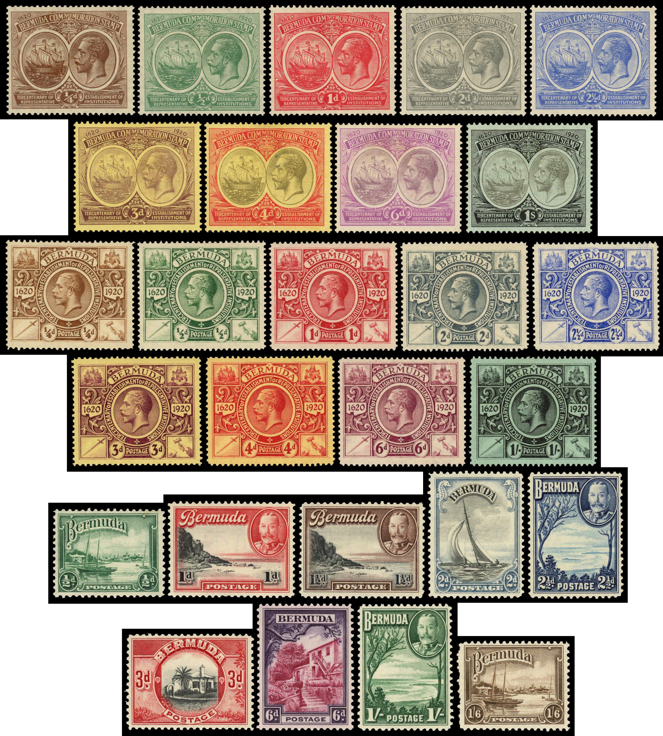 Bermuda mint selection