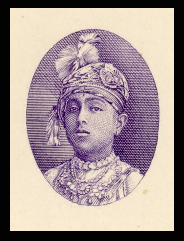 I.F.S Rewa mint and used collection