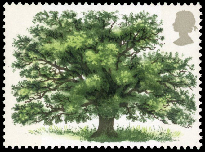 GB: 1973 9p Oak Tree brownish black (value and inscription) omitted fine unmounted o.g. SG 922a
