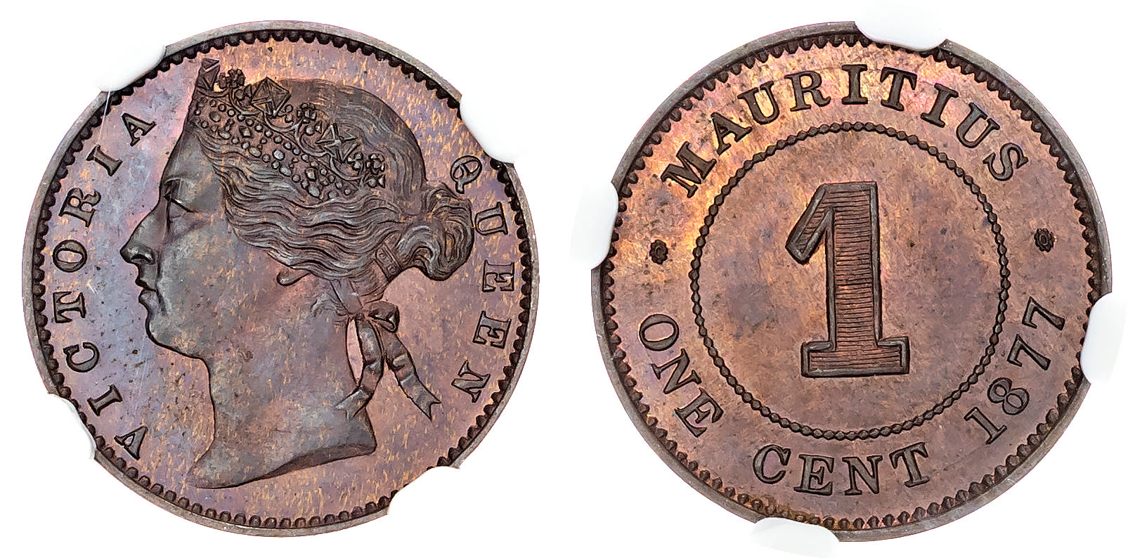 Mauritius, Victoria (1837-1901), bronze Proof Cent, 1877 - PF 65 BN
