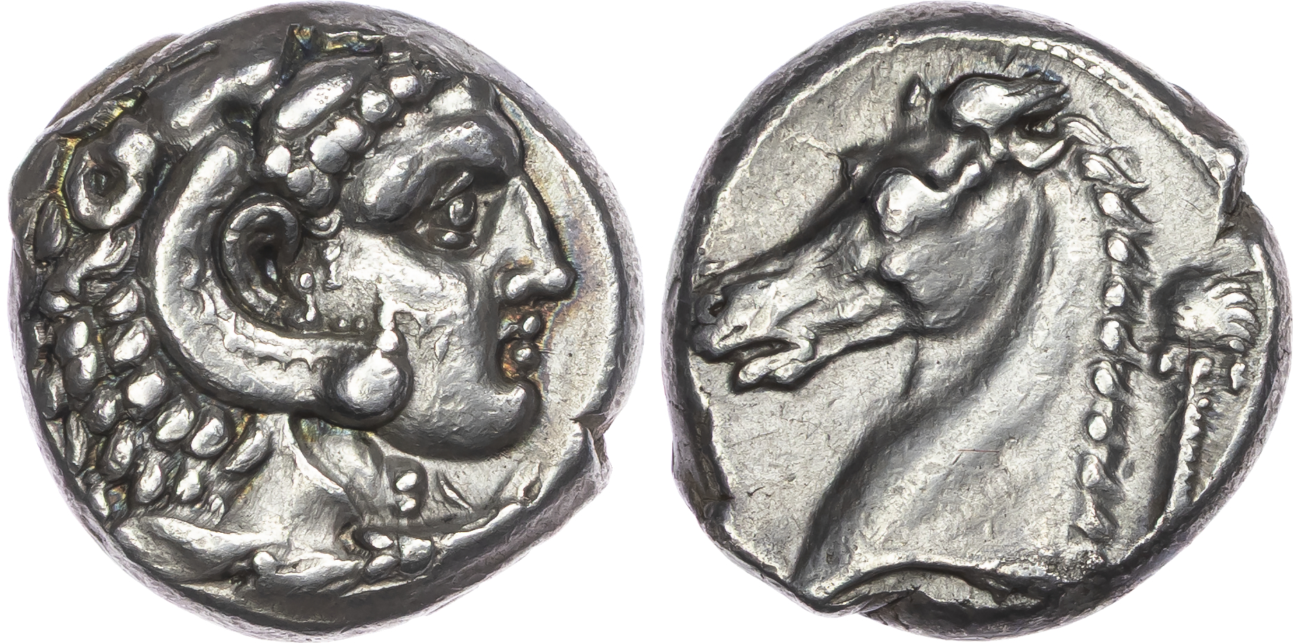 Sicily, Siculo-Punic (c. 300-289 BC) AR Tetradrachm, Entella, 16.82g.