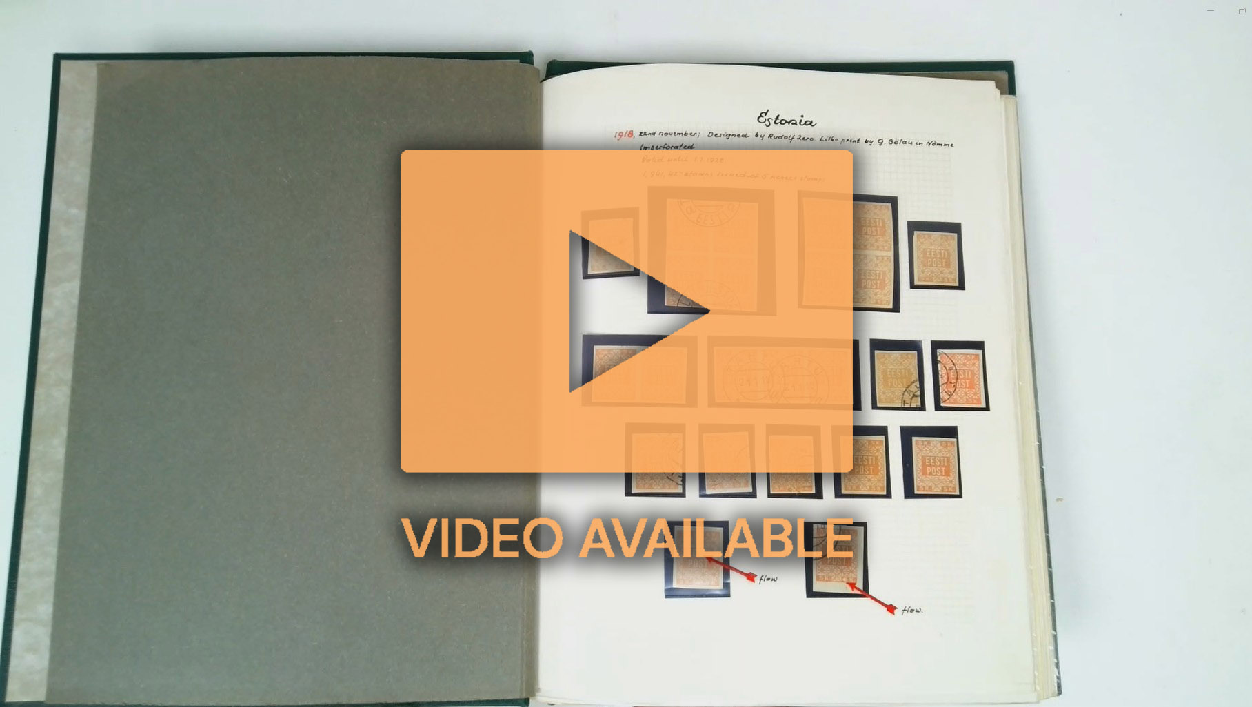 ESTONIA 1918-19 specialist collection unused and used