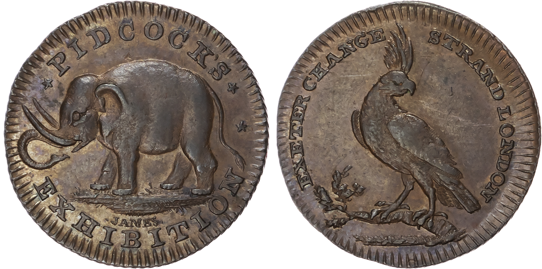 London, Strand, Gilbert Pidcock Farthing undated, African elephant standing left, rev. two-headed cow standing…