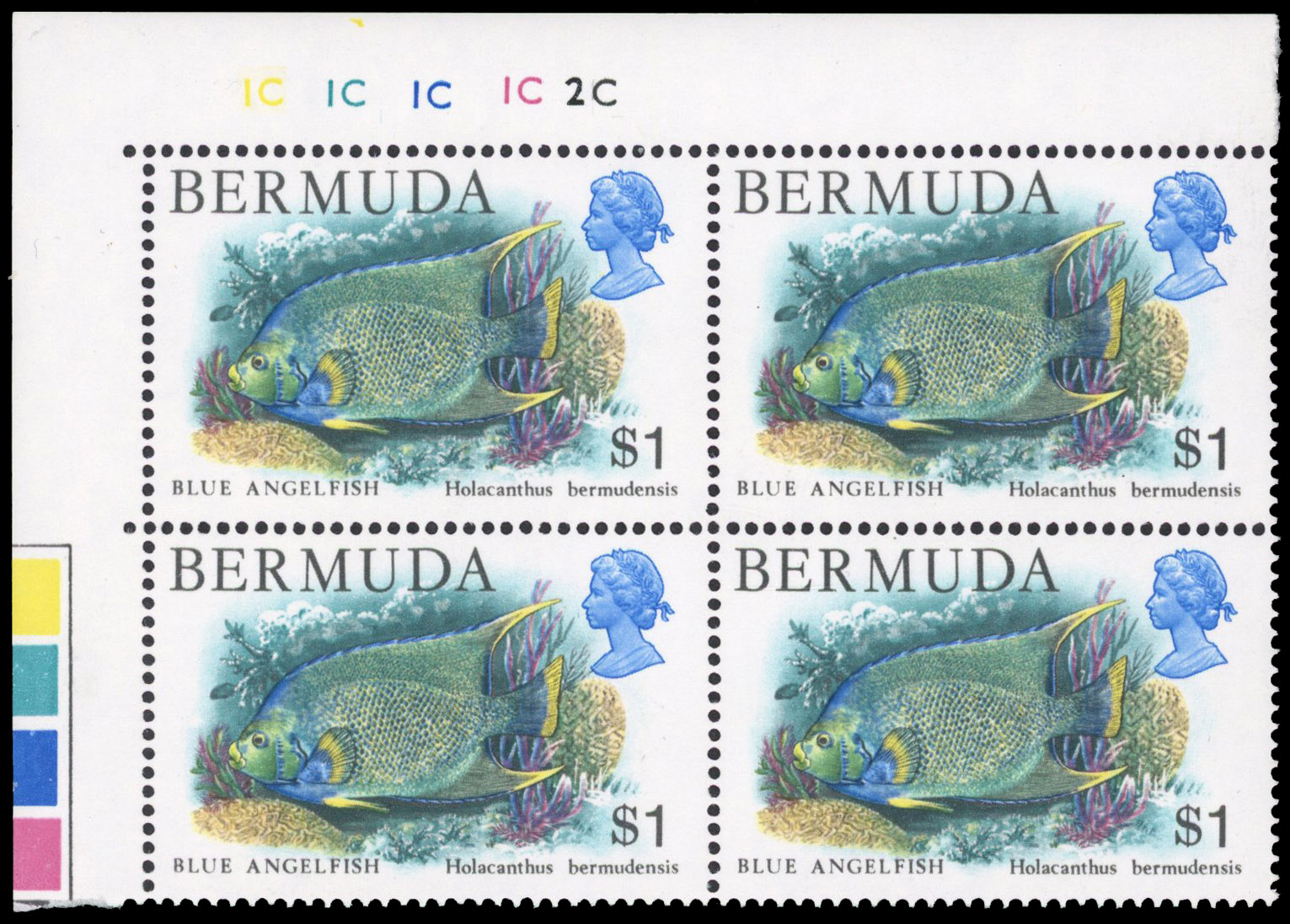 Bermuda SG 400w Cylinder block mint