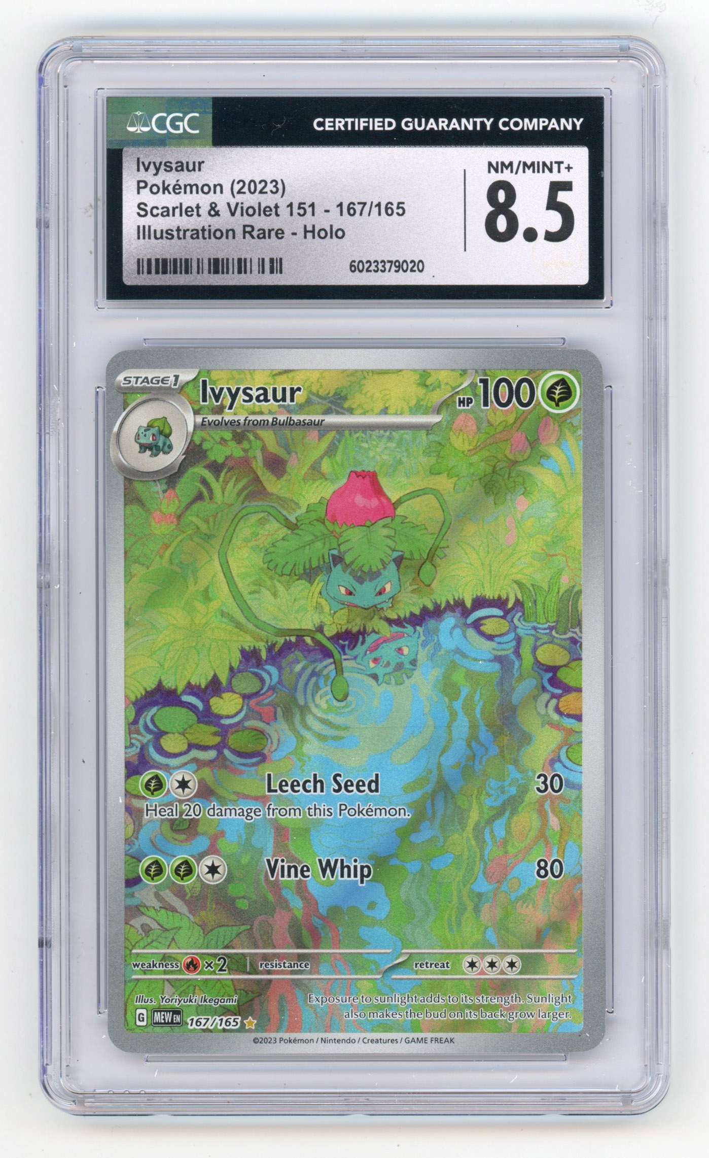 CGC 8.5 Ivysaur Illustration Rare #167 - S&V 151 2023