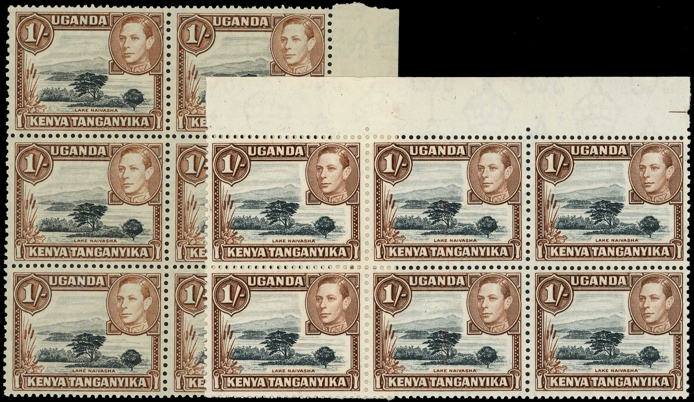 KUT SG 145, a blocks mint