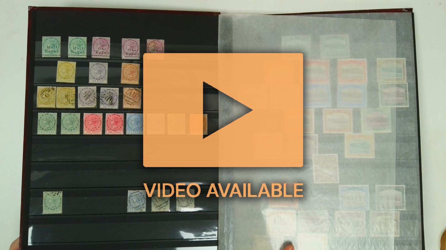 Dominica mint and used collection