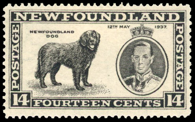 Newfoundland SG 262d mint