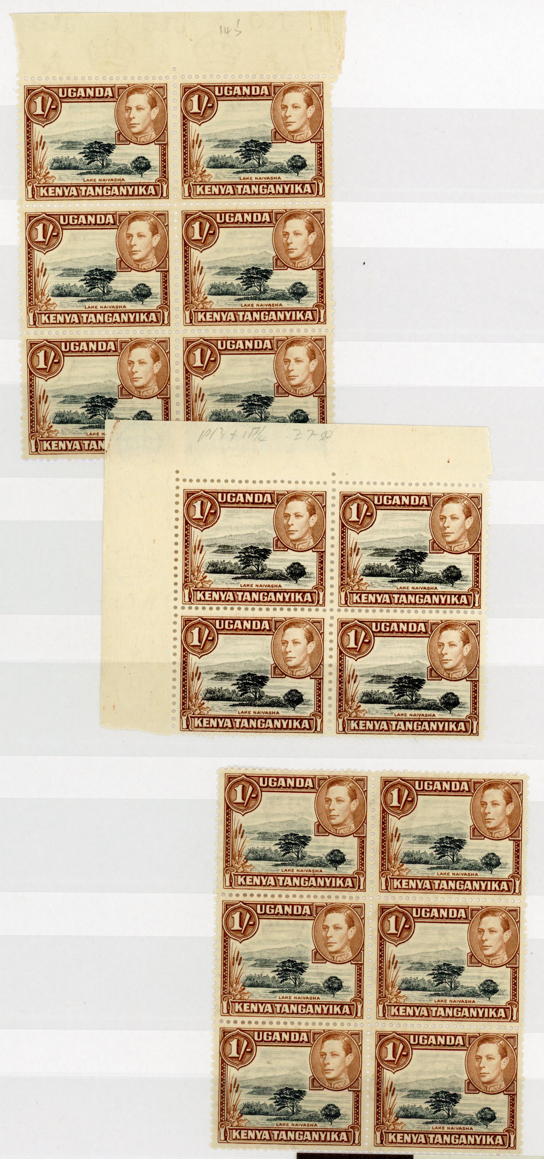 KUT SG 145-ab collection